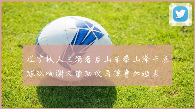 辽宁铁人主场落后山东泰山泽卡点球双响谢文能助攻马德鲁加造点