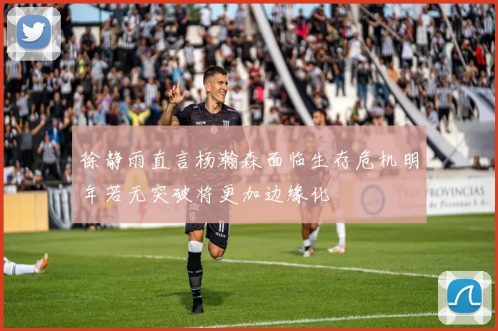 徐静雨直言杨瀚森面临生存危机明年若无突破将更加边缘化